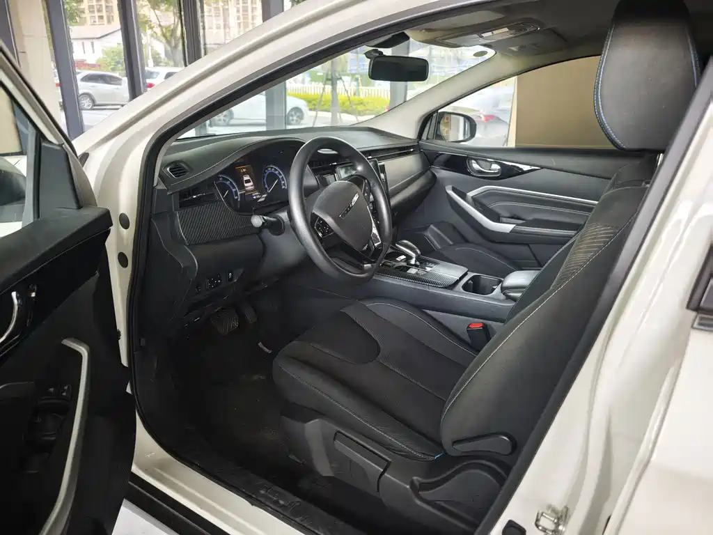 Venucia D60 EV — миниатюра 7
