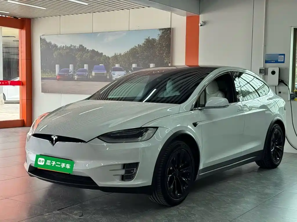 Tesla Model X — миниатюра 2