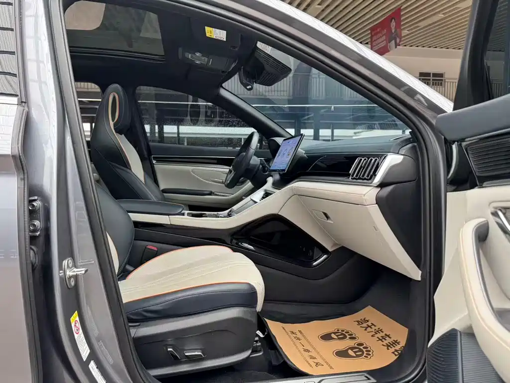 BYD PLUS New Energy — миниатюра 10
