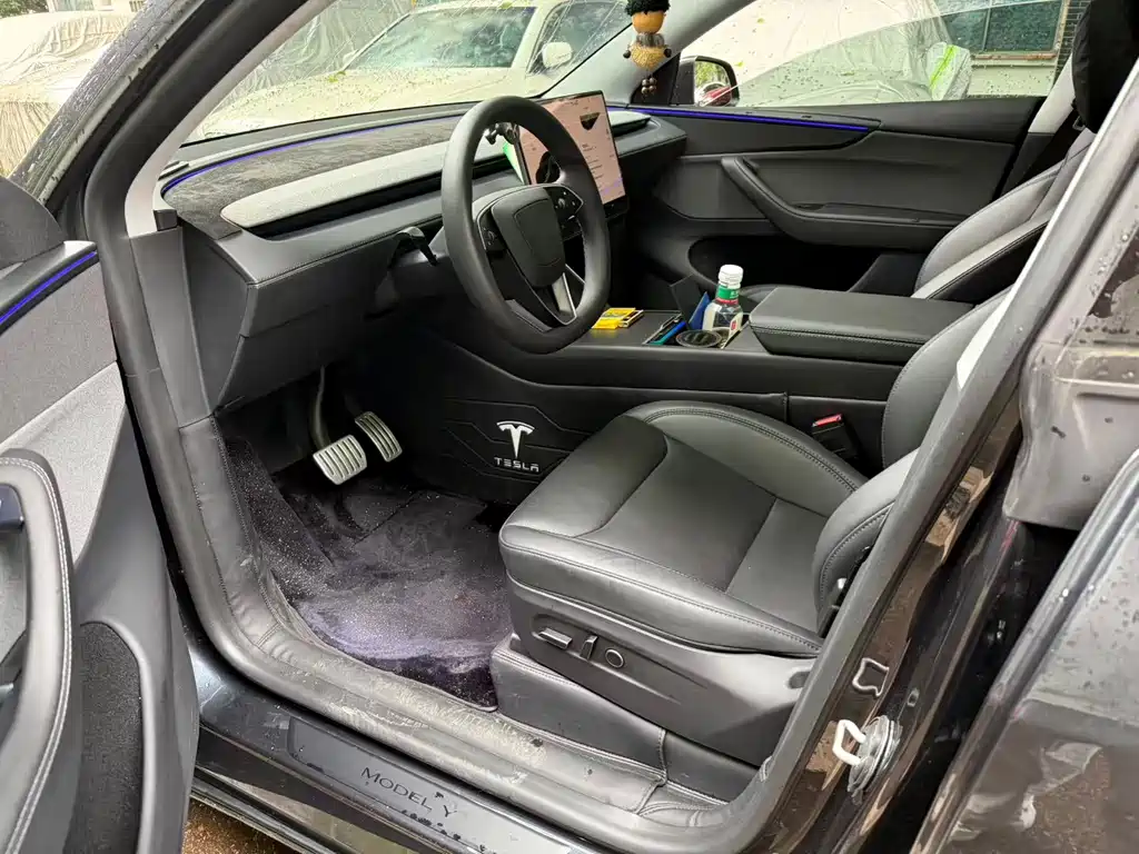 Tesla Model Y — миниатюра 3