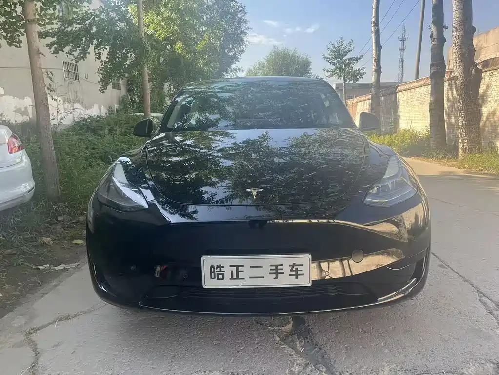 Tesla Model Y — миниатюра 3