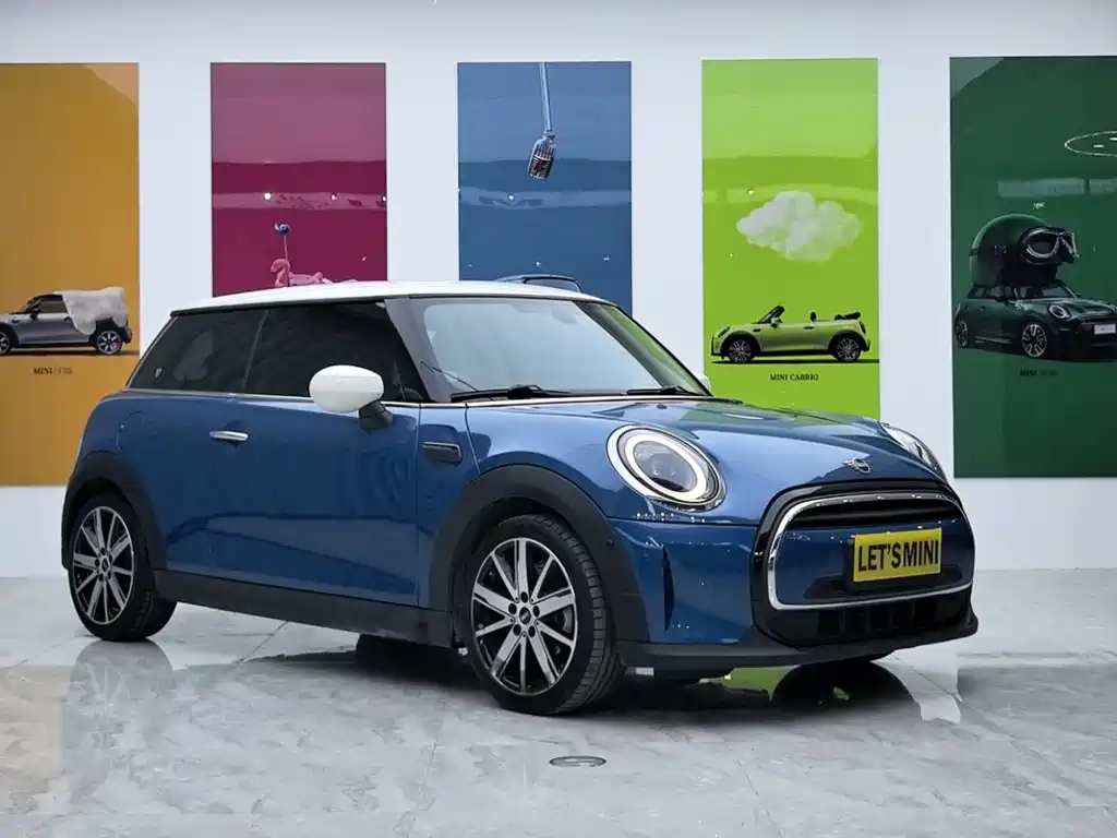 Mini Mini 2021