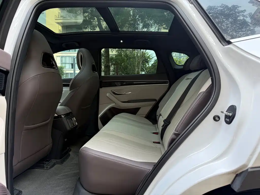 BYD PLUS New Energy — миниатюра 11