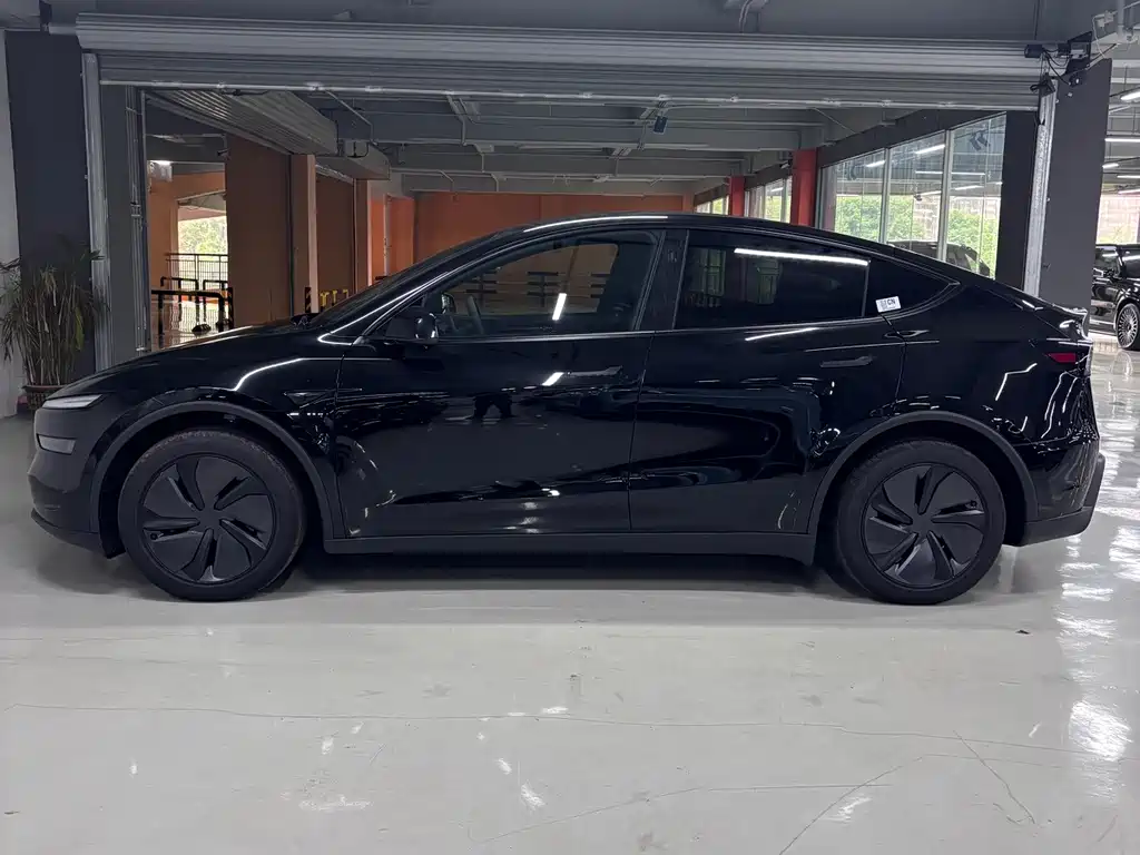 Tesla Model Y — миниатюра 8