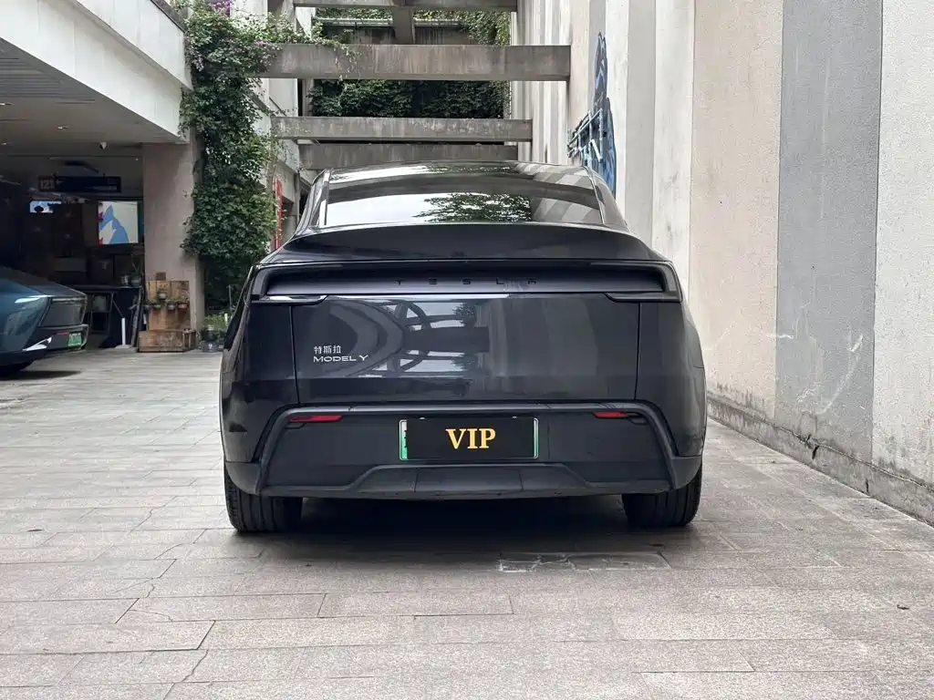 Tesla Model Y — миниатюра 7