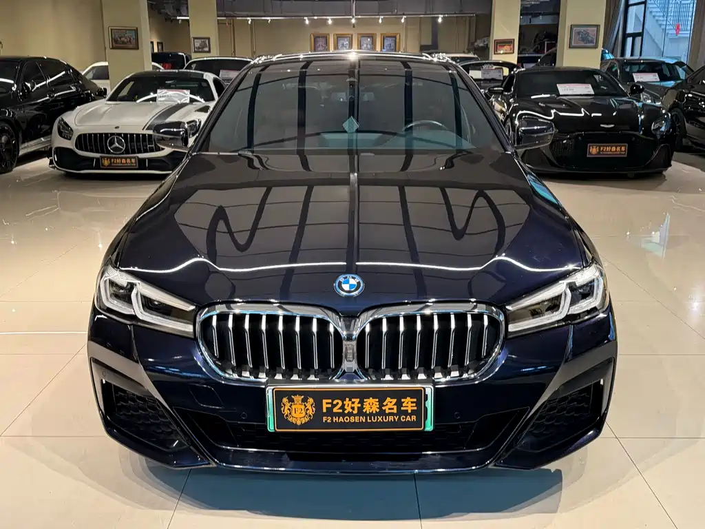 BMW 5 Series New Energy Facelift 2 535Le M Sport Package, фото 8