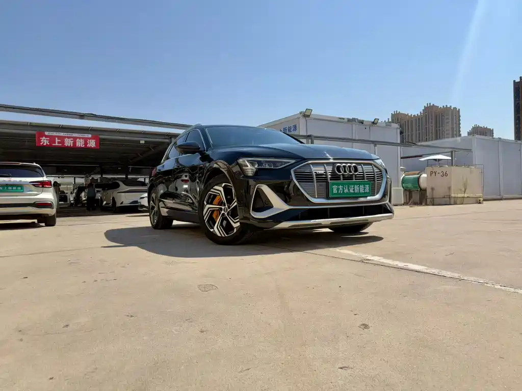 Audi e-tron — миниатюра 3