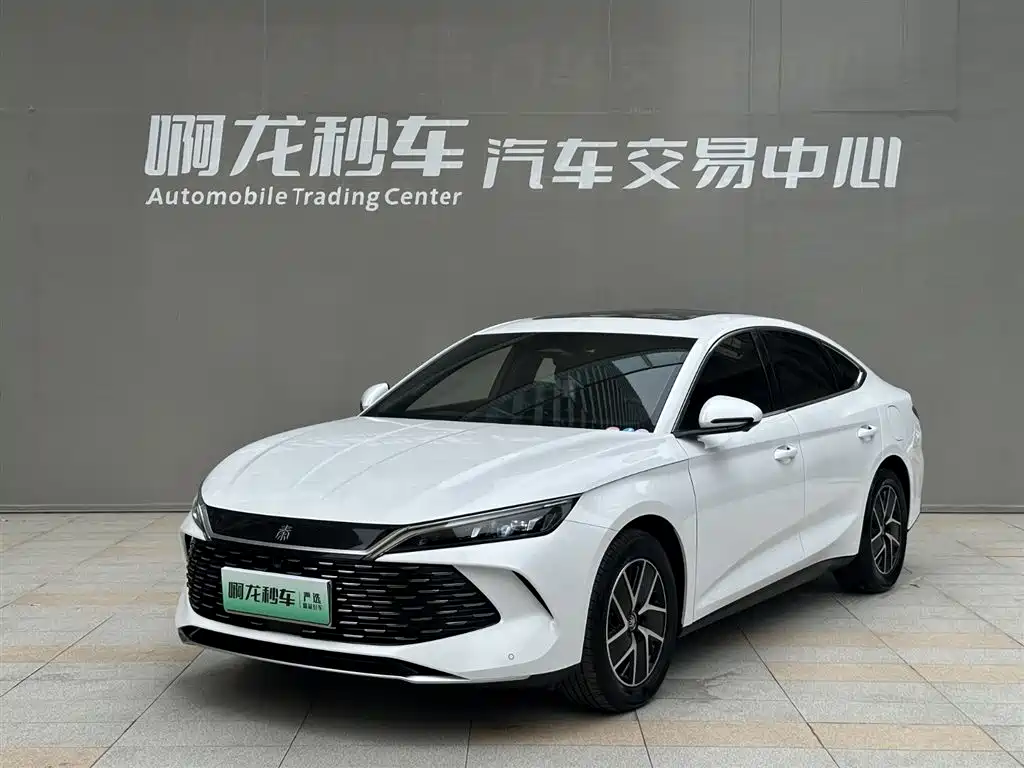 Byd Qin L 2025