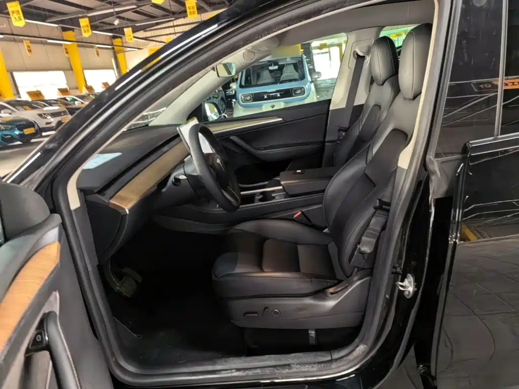 Tesla Model Y — миниатюра 15