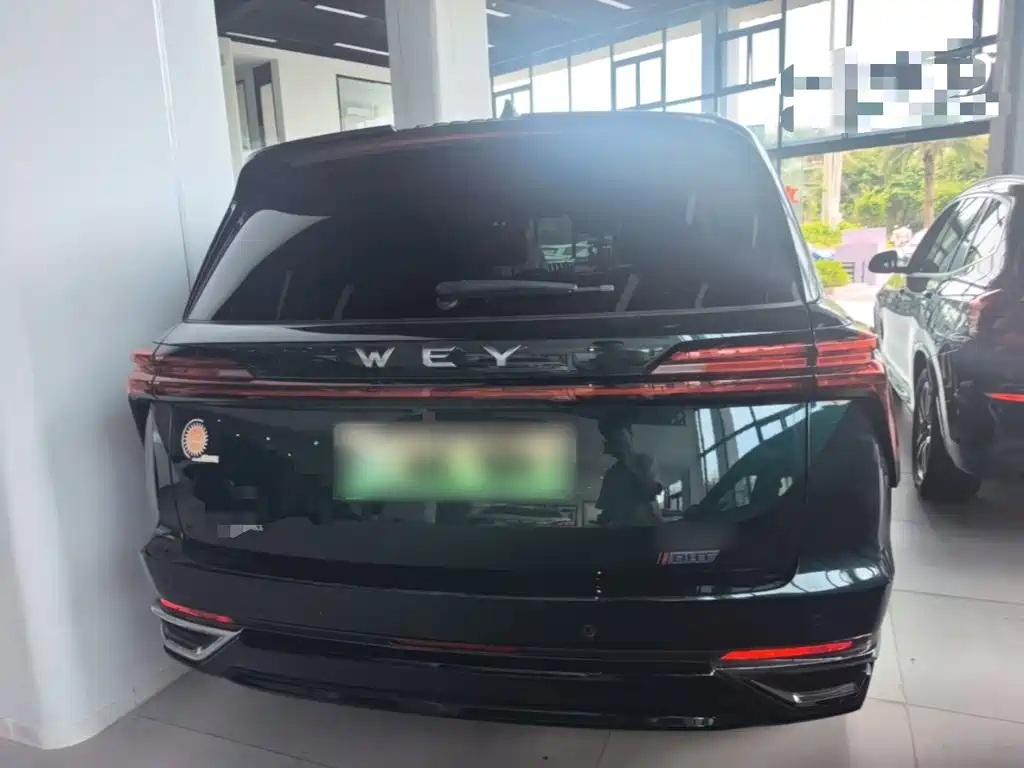 Wey Wey Lanshan — миниатюра 6