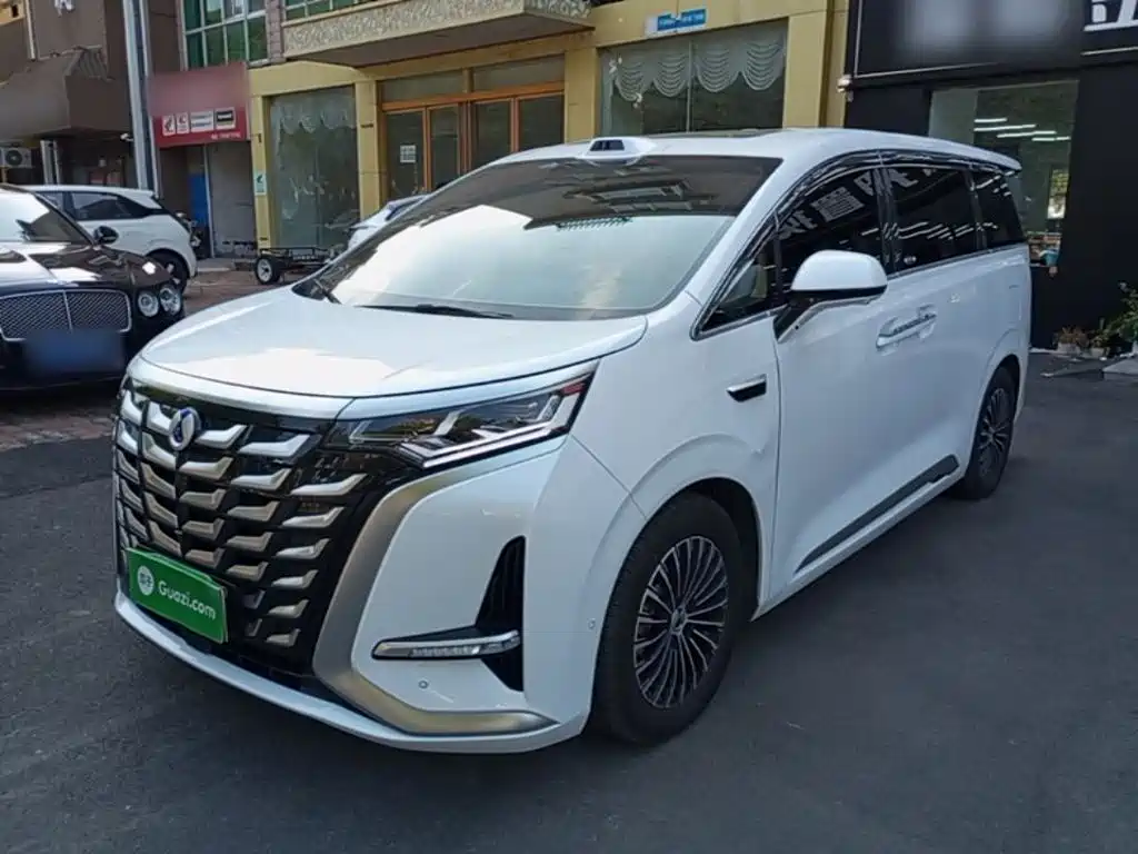 Denza Denza D9 — миниатюра 2