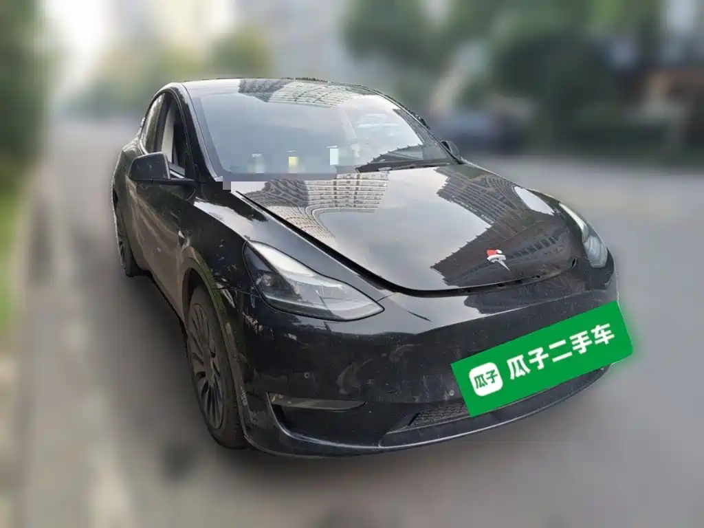 Tesla Model Y — миниатюра 3