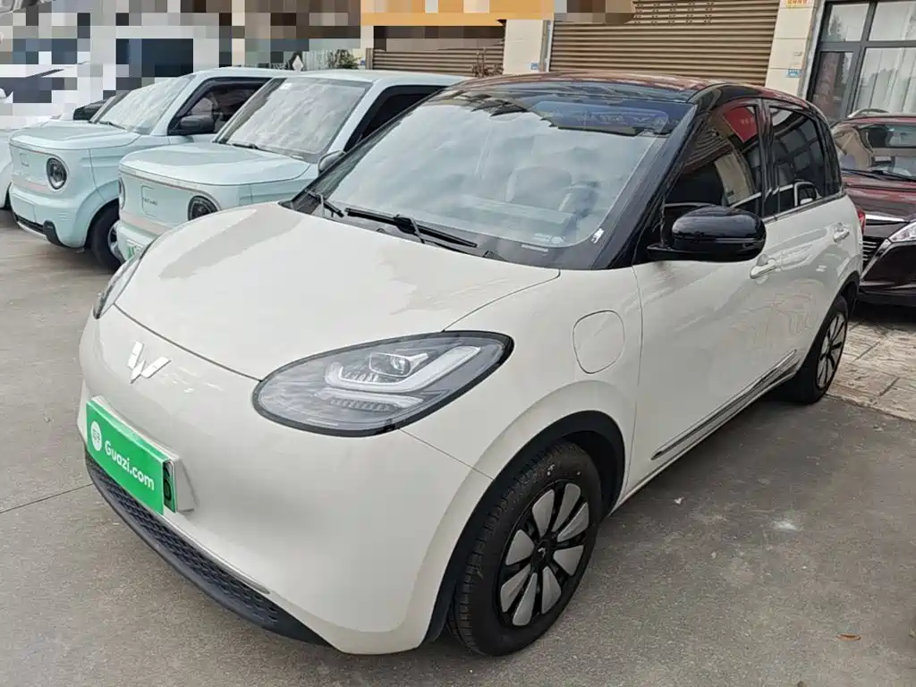 Wuling Binguo