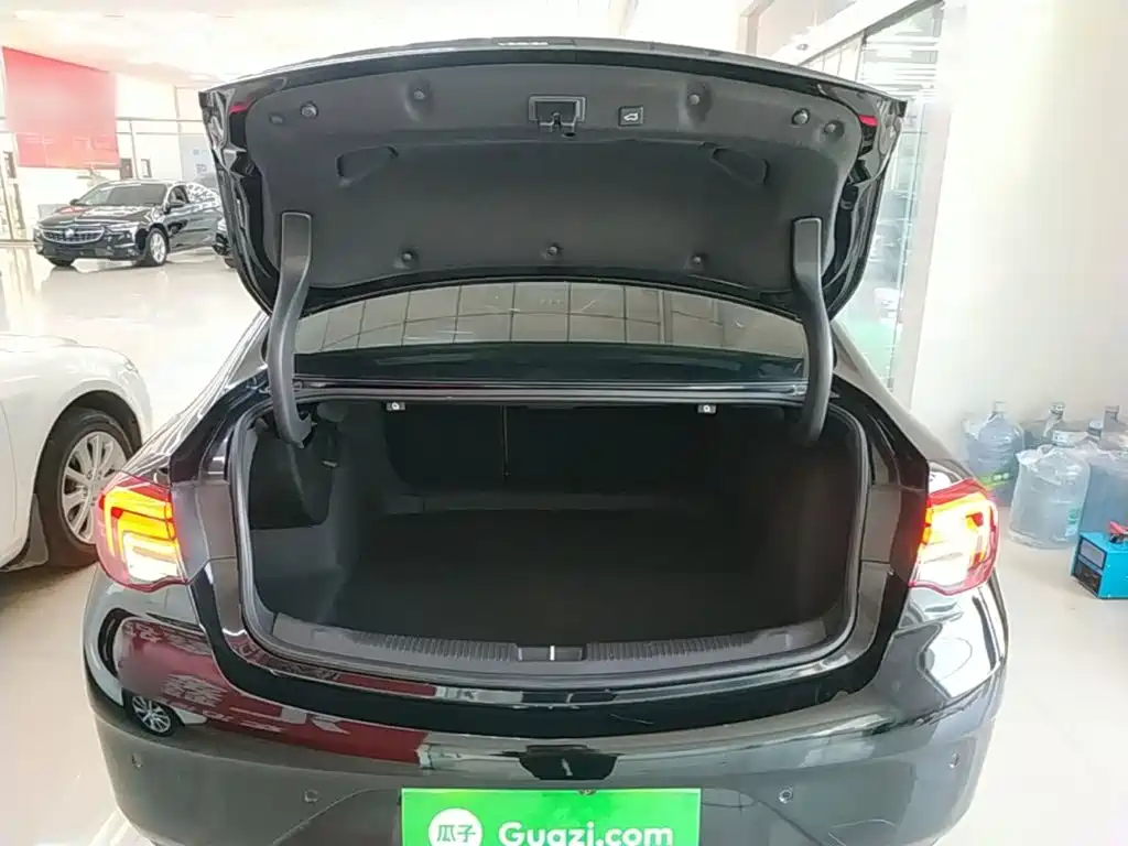 Buick Regal — миниатюра 19