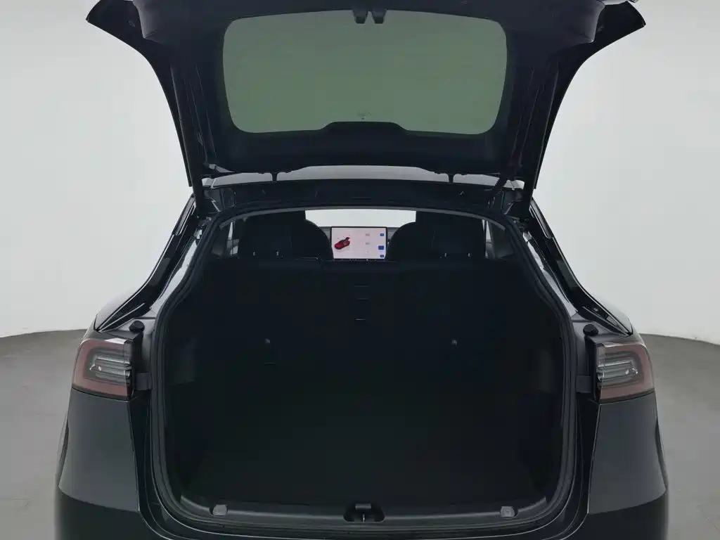 Tesla Model Y — миниатюра 16