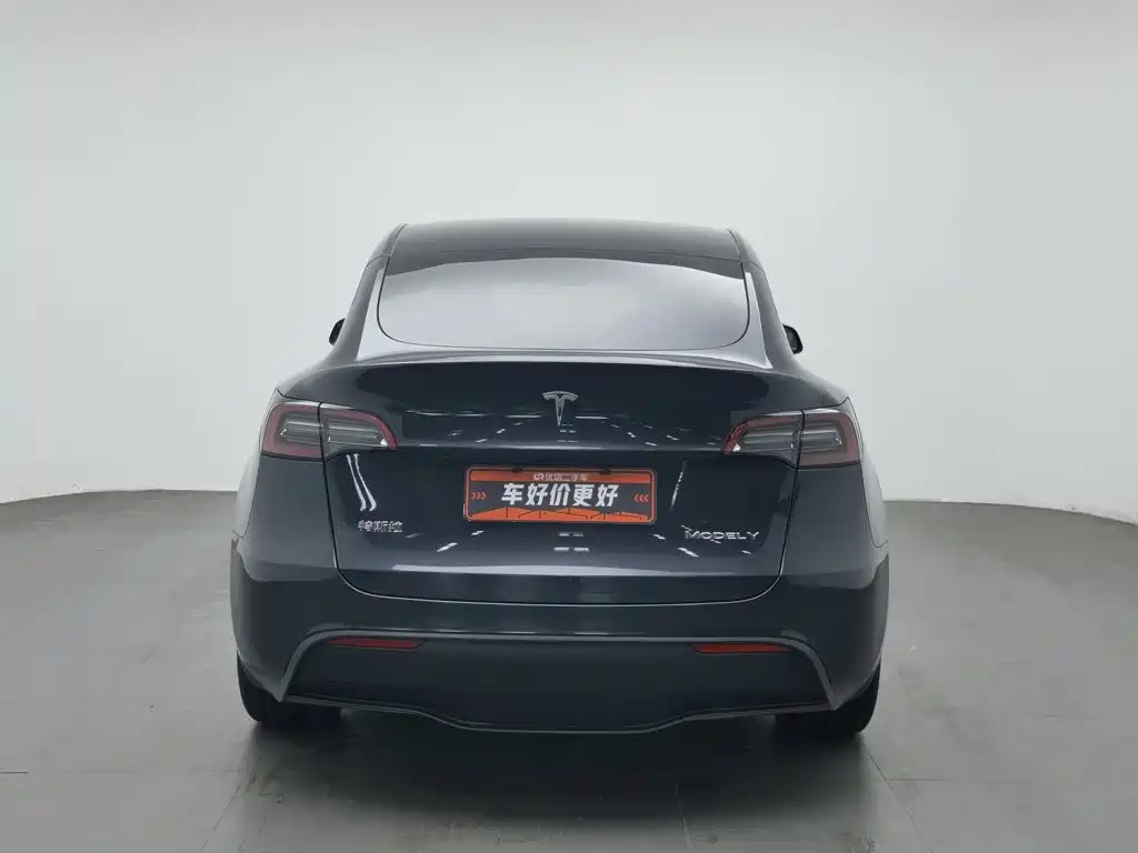 Tesla Model Y — миниатюра 4