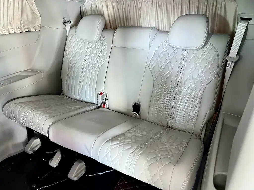Buick GL8 — миниатюра 11