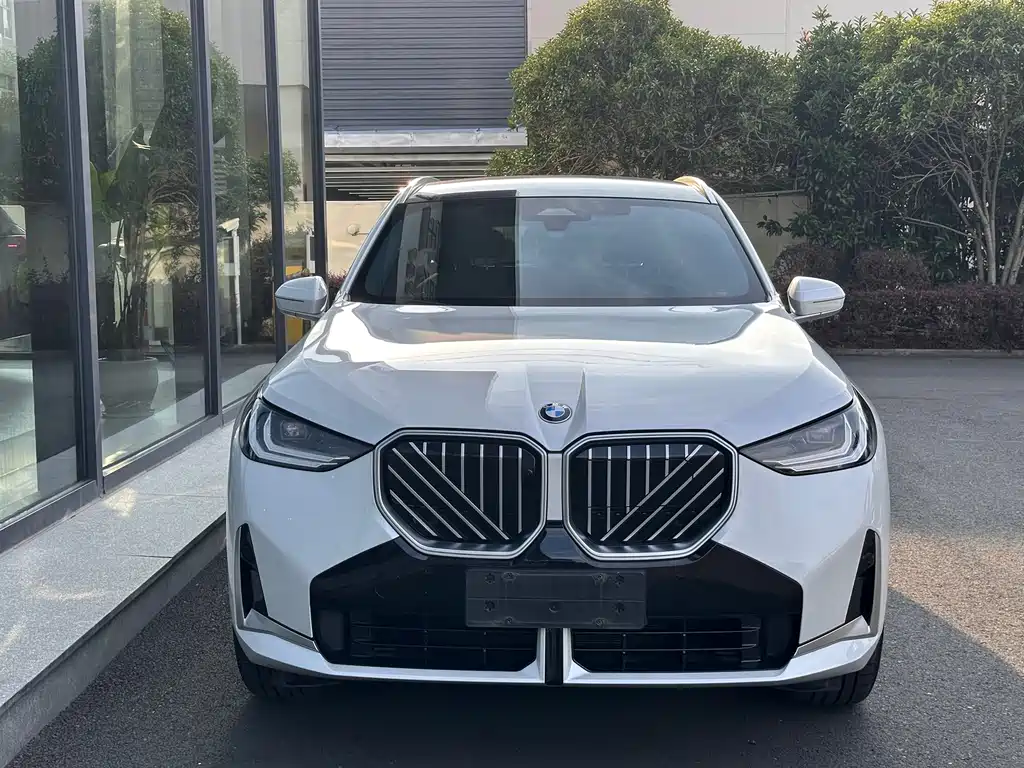 BMW X3 — миниатюра 2