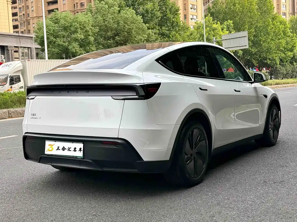 Tesla Model Y — миниатюра 10