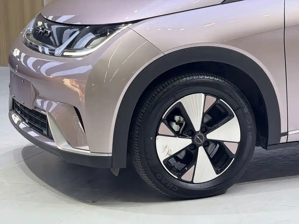 BYD Dolphin — миниатюра 6