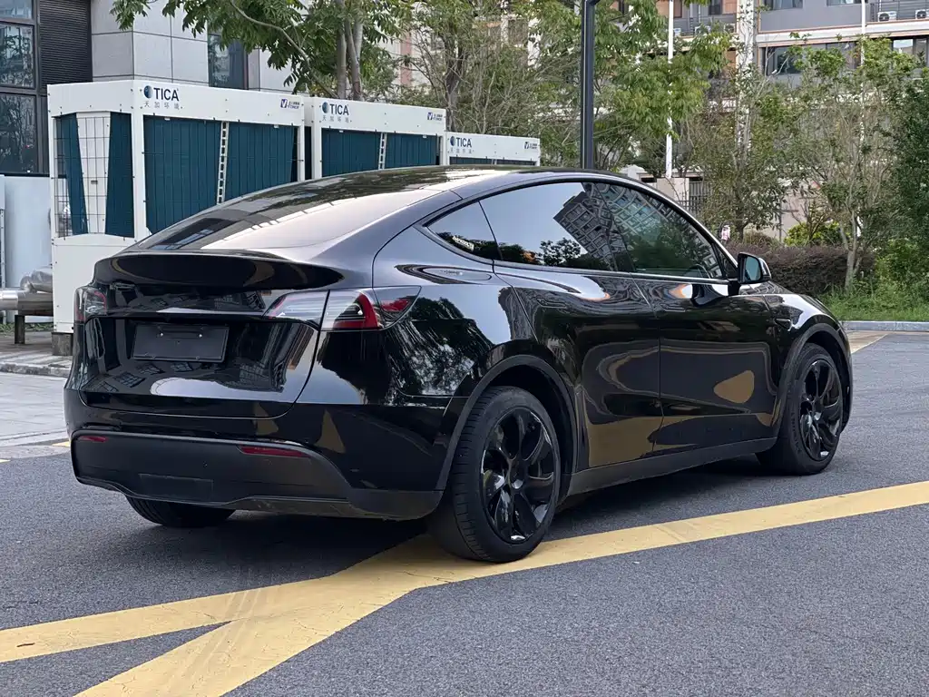 Tesla Model Y — миниатюра 9