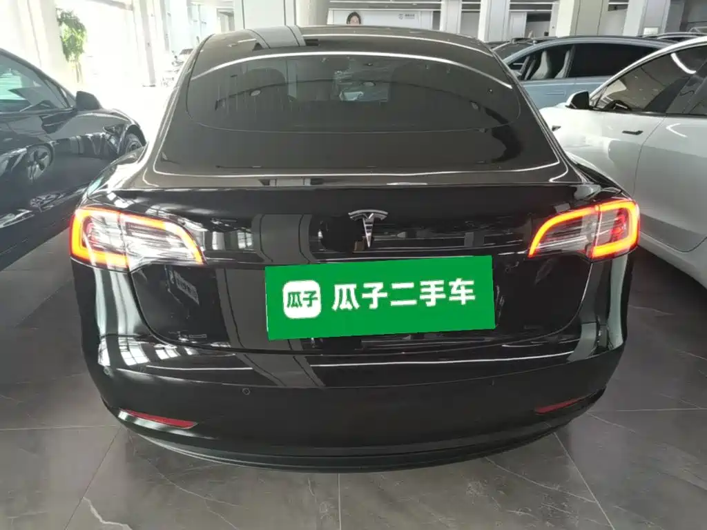 Tesla Model 3 — миниатюра 6