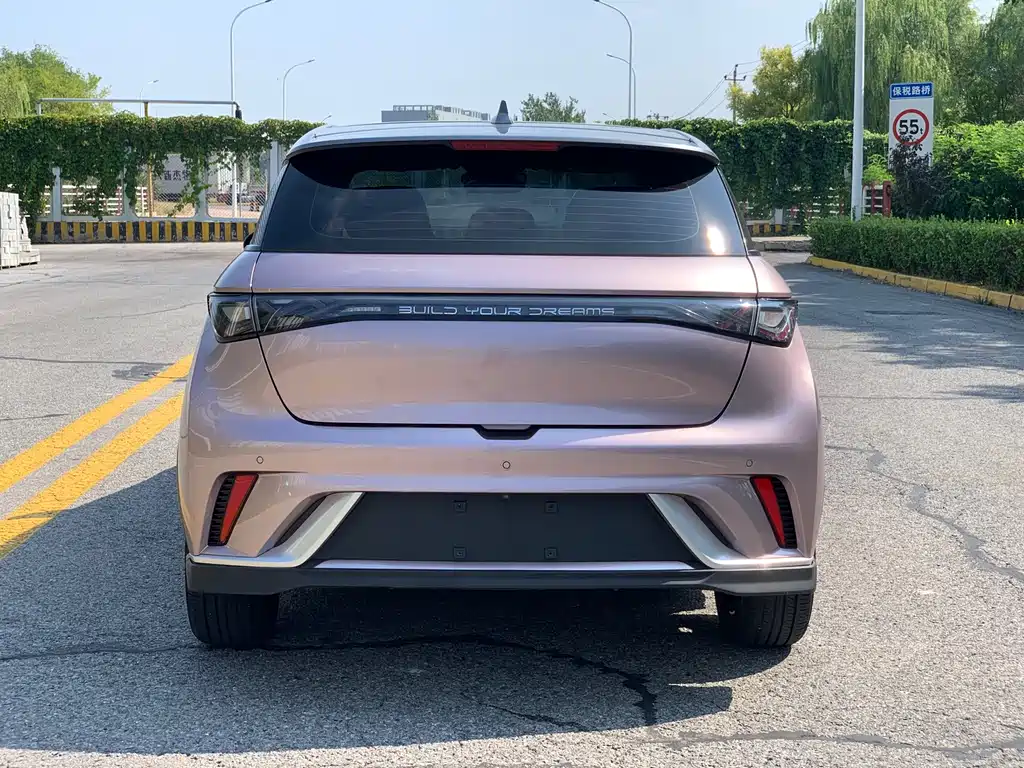 BYD Dolphin — миниатюра 13