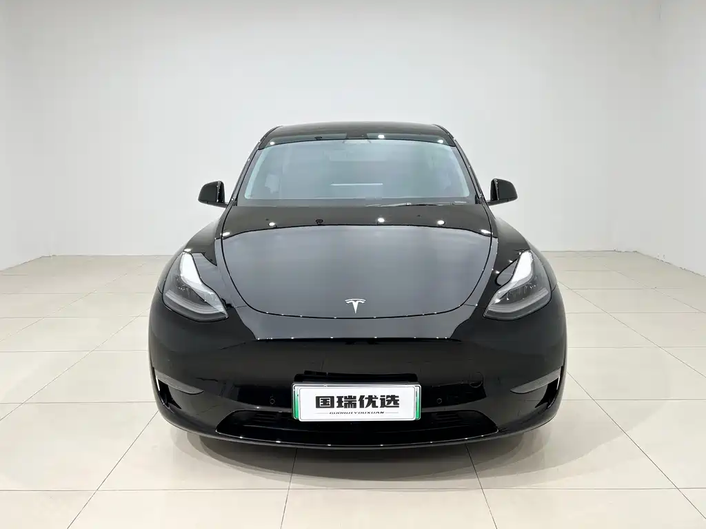 Tesla Model Y — миниатюра 2