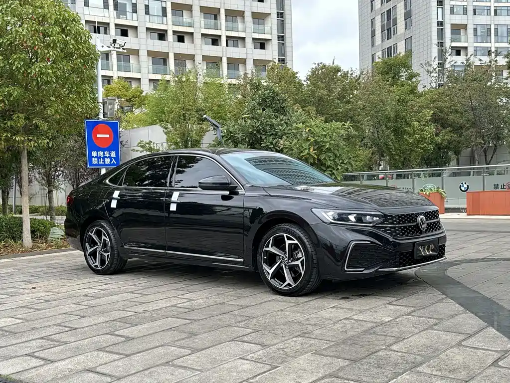 Volkswagen Passat — миниатюра 3
