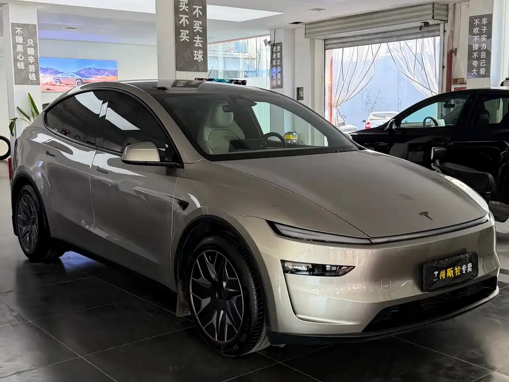 Tesla Model Y L — миниатюра 3