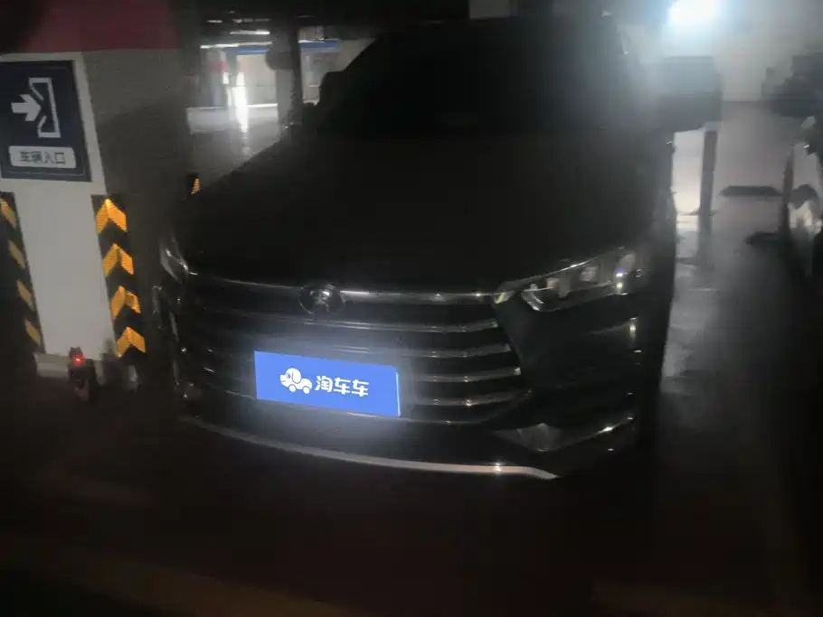 BYD Pro — миниатюра 2