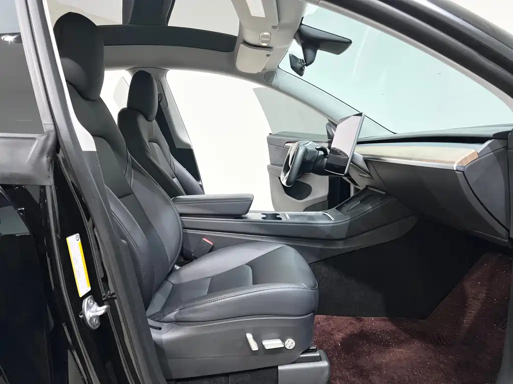 Tesla Model Y — миниатюра 9