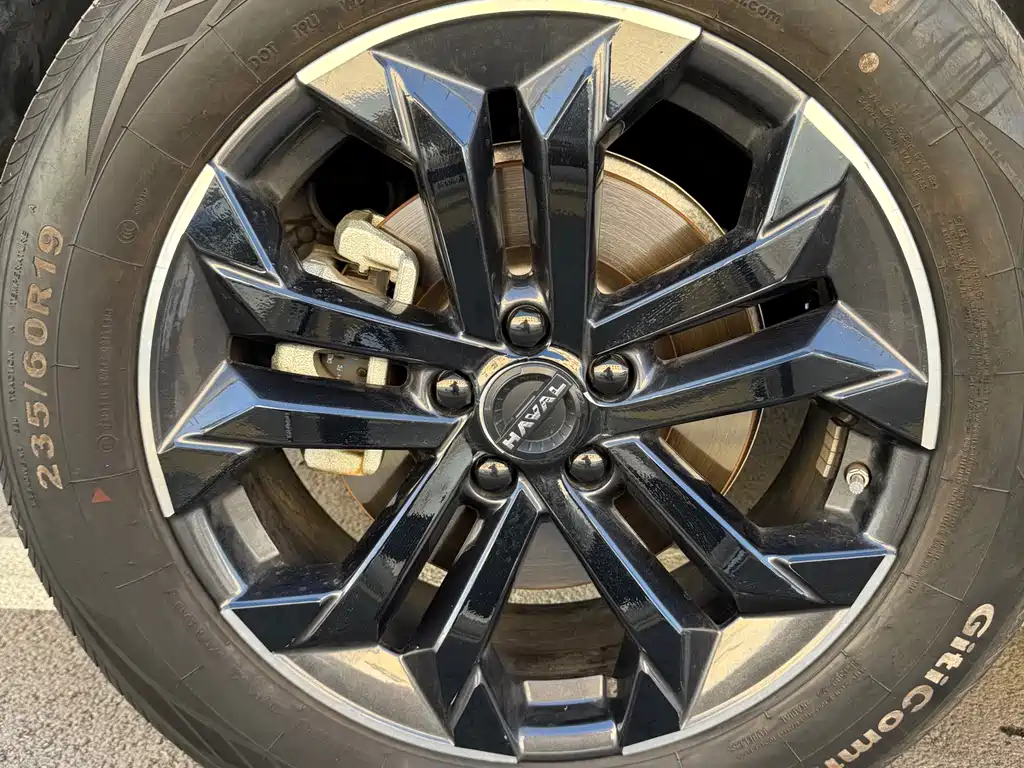 Haval Big Dog — миниатюра 11