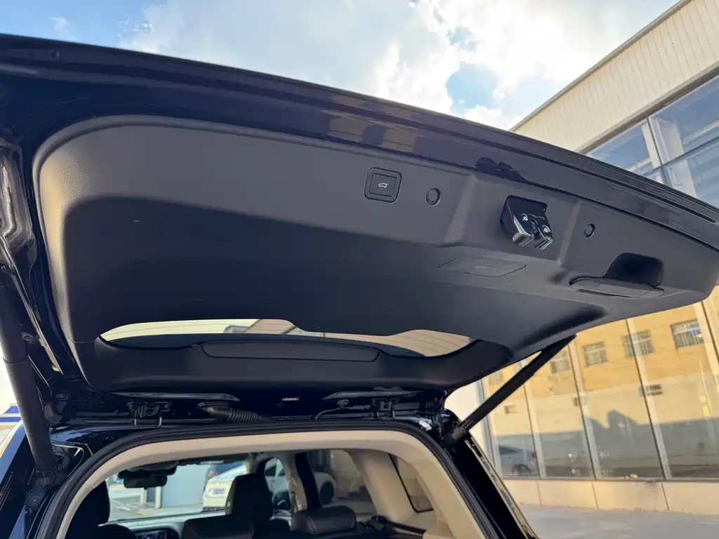 Haval Big Dog — миниатюра 20
