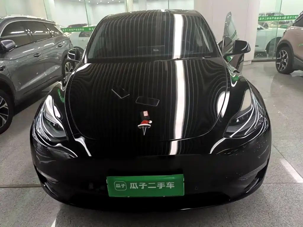 Tesla Model Y — миниатюра 2