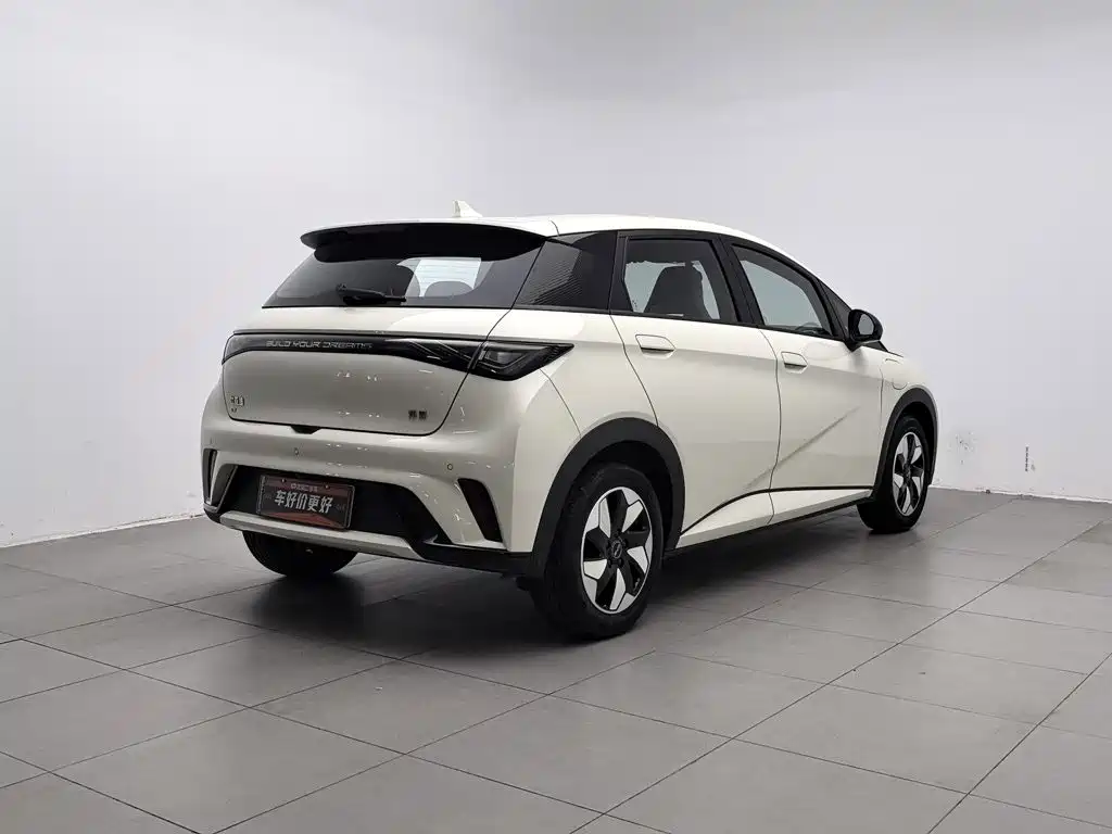 BYD Dolphin — миниатюра 2