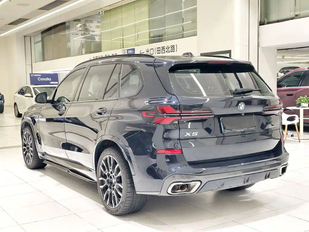 BMW X5 — миниатюра 10