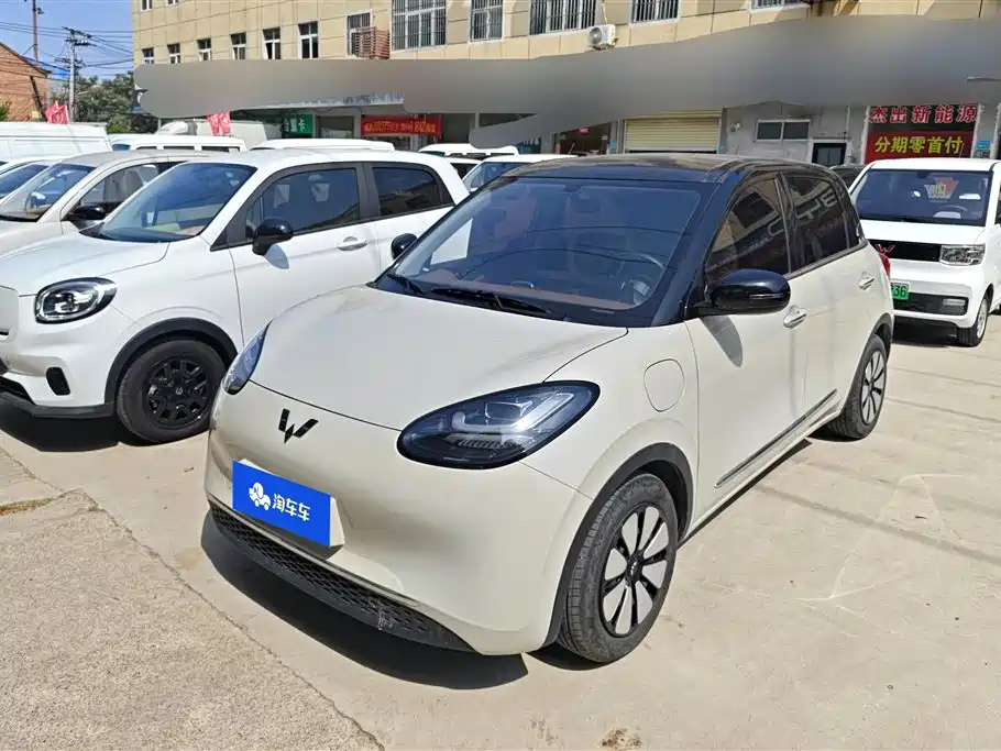 Wuling Bingo 2024
