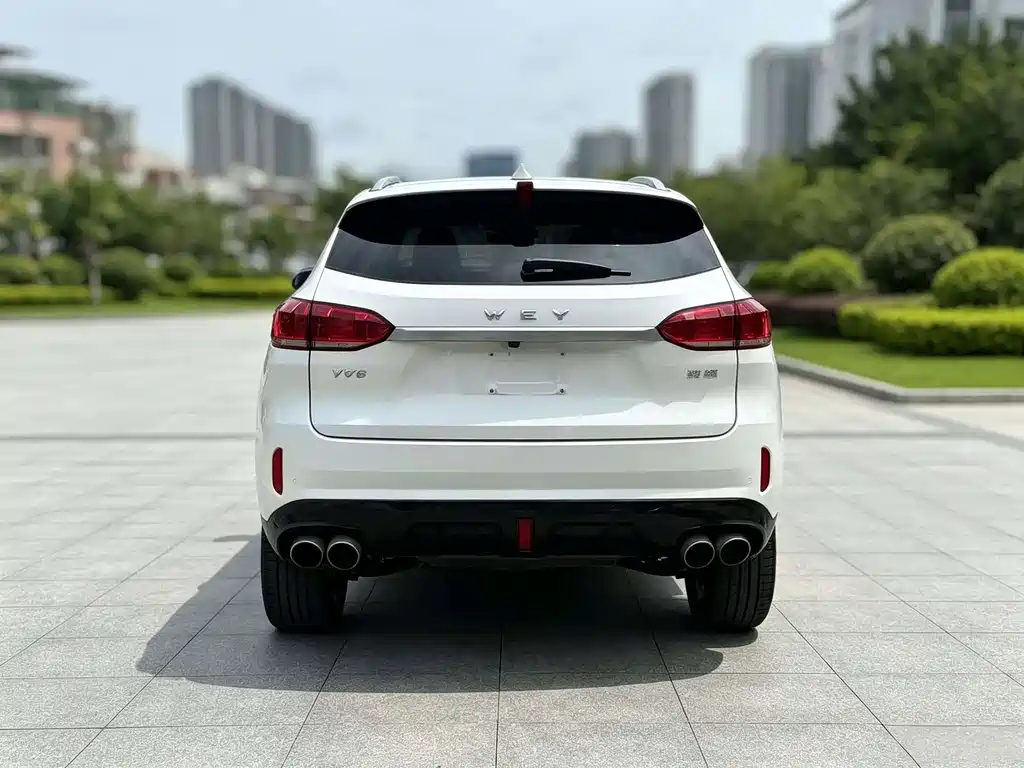 Wey Wey VV6 — миниатюра 8