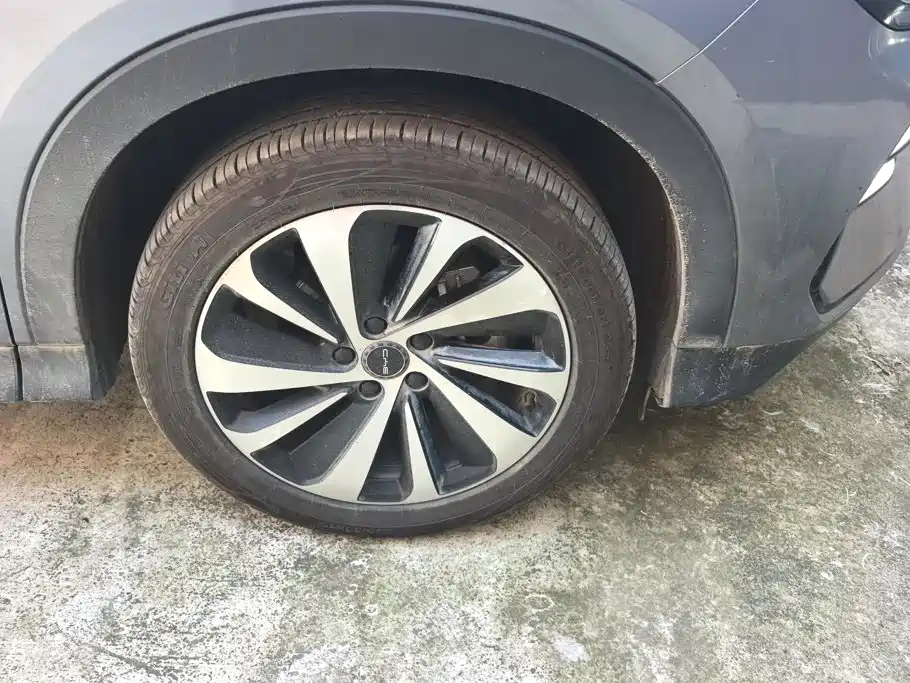 BYD PLUS New Energy — миниатюра 6