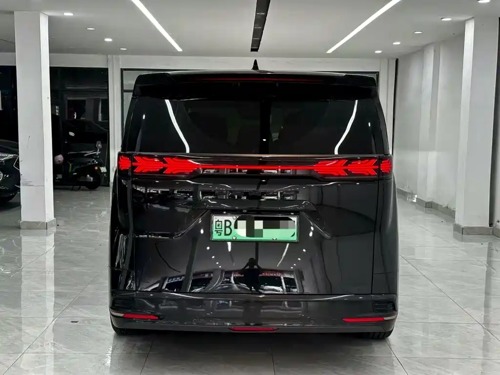 Denza Denza D9 — миниатюра 8