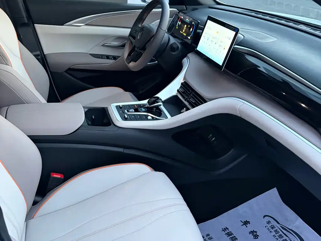 BYD Pro New Energy — миниатюра 7