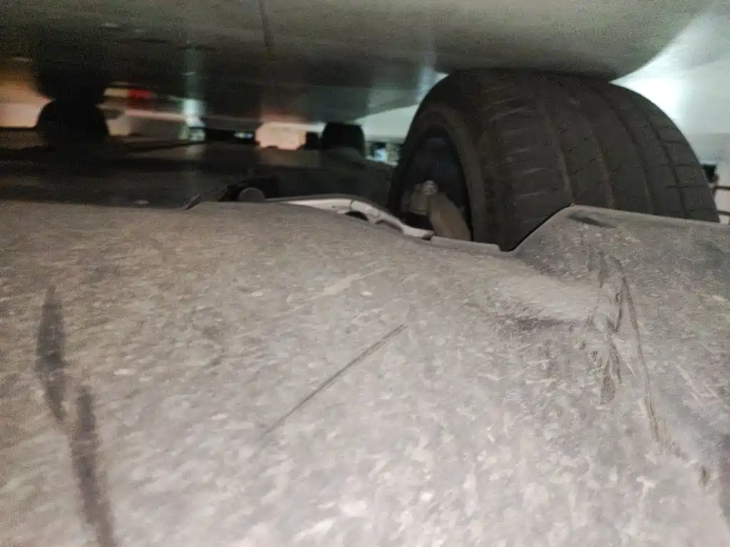 Tesla Model Y — миниатюра 18
