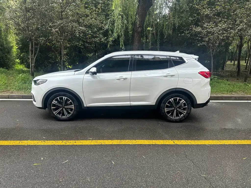 Wey Wey VV6 — миниатюра 4