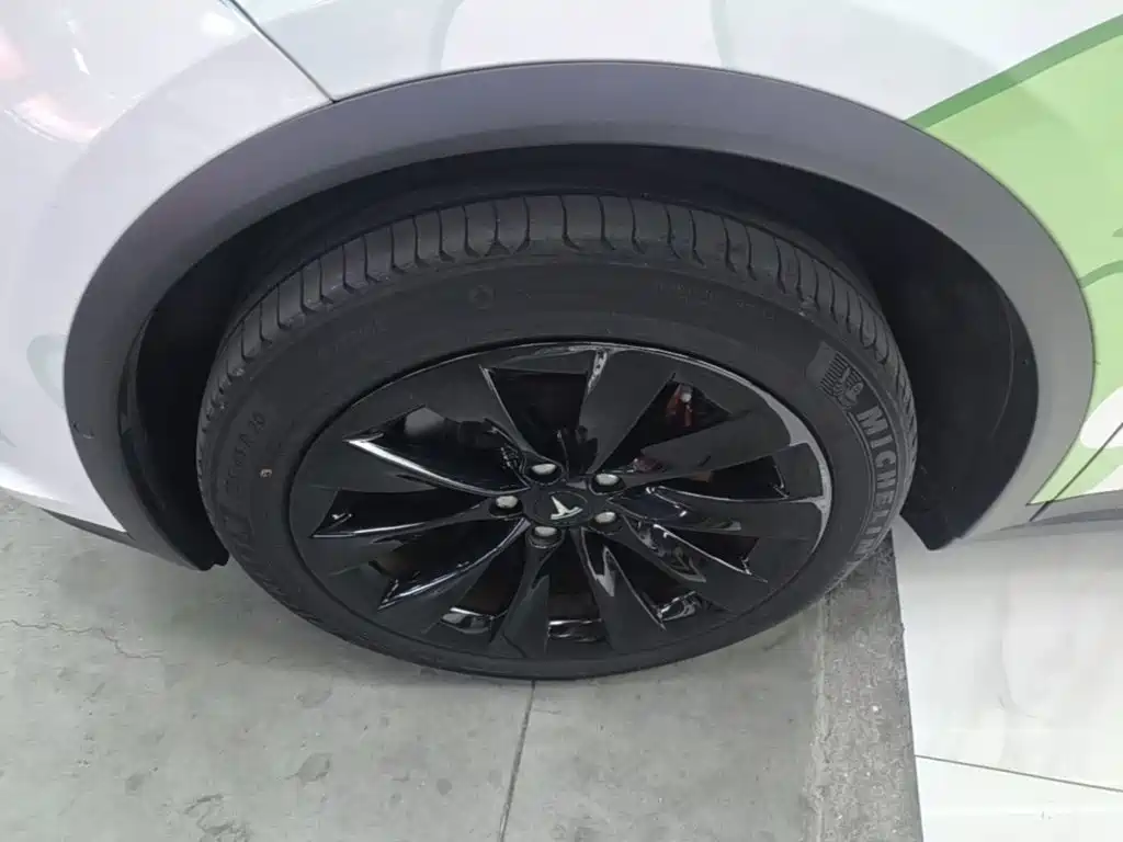 Tesla Model X — миниатюра 23