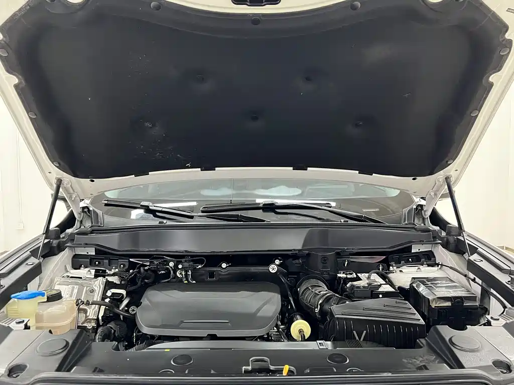 Haval Big Dog — миниатюра 16