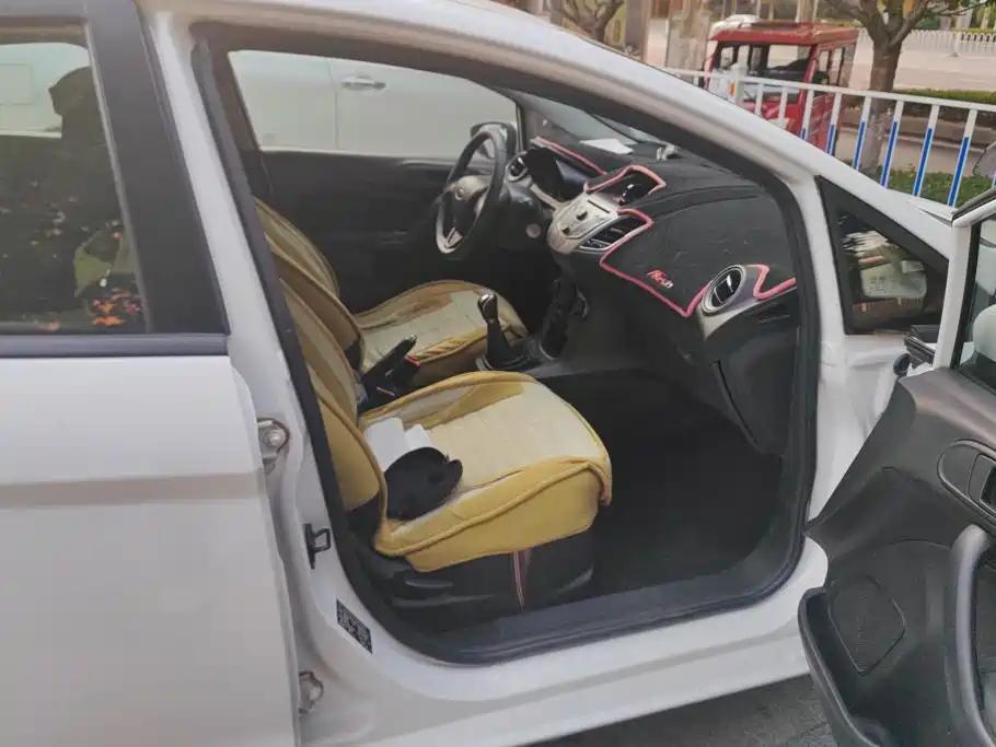 Ford Fiesta — миниатюра 8