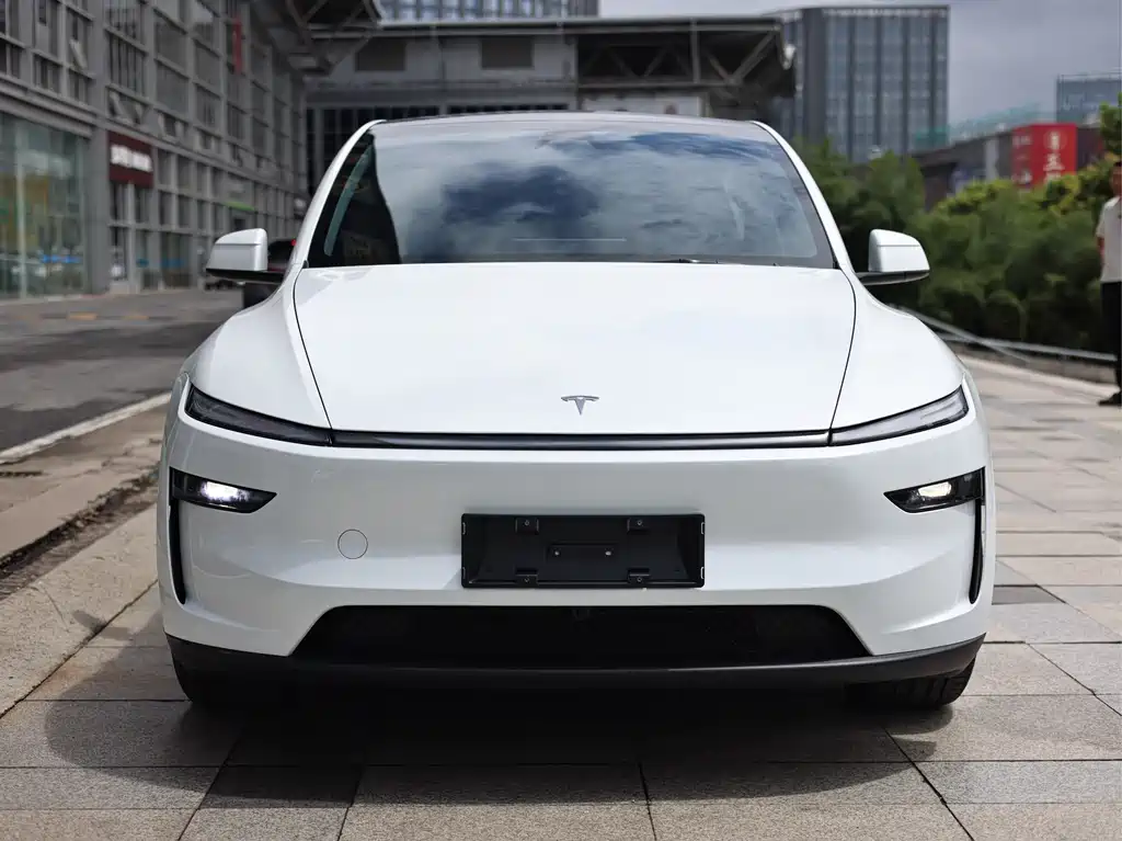 Tesla Model Y — миниатюра 3
