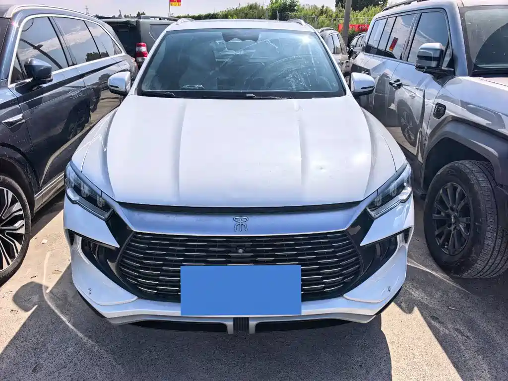 BYD Pro New Energy — миниатюра 2