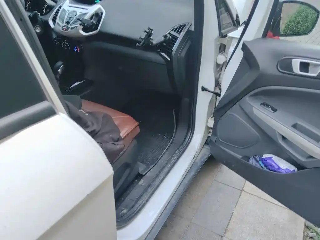 Ford Ecosport — миниатюра 20